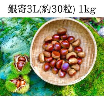 厳選熟成栗】農林水産大臣賞受賞の和栗：特大サイズ（3Lサイズ