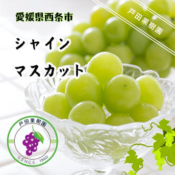 シャインマスカット1kg2から3房 ｜ 果物/ぶどう 産直アウル 農家・漁師