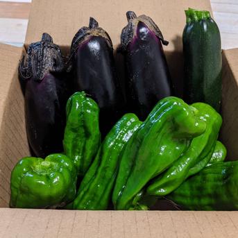 【5名限定】夏野菜3種カレーセット！60サイズ 2キロ 野菜/野菜セット・詰め合わせ通販
