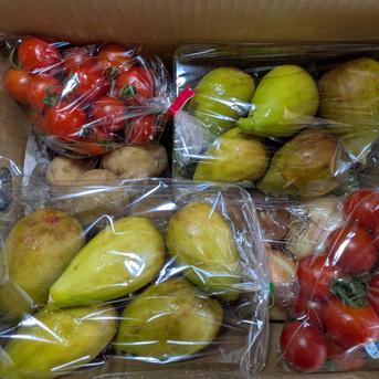 イチジクと野菜のセット イチジク900g、トマト700g、ジャガイモ1.2kg、タマネギ1kg、トウモロコシ800gの詰め合わせです。 野菜/野菜セット・詰め合わせ通販