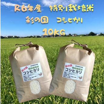 R6年産　特別栽培米　彩の国　コシヒカリ　5㎏×2袋 10㎏ 米・穀物/米/精米通販