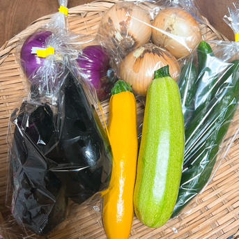 旬祭限定】夏野菜セット2026 ｜ 野菜/野菜セット・詰め合わせ 産直
