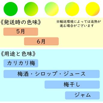 《冷蔵便》【家庭用】青梅 2kg 愛媛県産 梅ジュース 梅シロップ 梅干し 梅酒 梅ジャム 110個前後(S～3Lサイズ) 果物/青梅通販