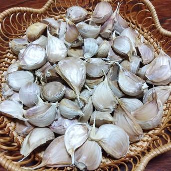 【全国一律送料】里山の平戸ニンニク バラ【農薬不使用】昔ながらの自然乾燥400g 平戸にんにく　400ｇ　送料込み 野菜/にんにく通販