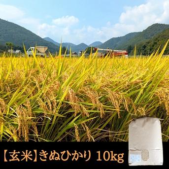 きぬひかり【玄米】 10kg 令和7年産 京都府京丹波町産 ｜ 米・穀物