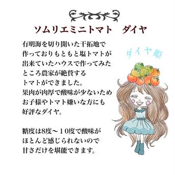 【父の日】④希少な高濃度フルーツトマト　ソムリエミニトマト　プラチナ約2kg（100玉から170玉） 箱込み2kg 野菜/トマト通販