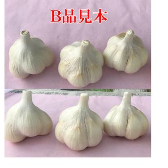 青森県田子町産にんにく2Lサイズ【大玉！！】1kg 1kg 野菜/にんにく通販