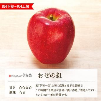 りんご【おぜの紅】訳あり約3kg 2026年度予約受付中 香り豊かな初秋の
