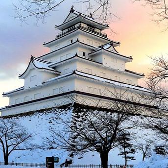 令和7年産 会津米 コシヒカリ 玄米 10kg ｜ 米・穀物/玄米 産直