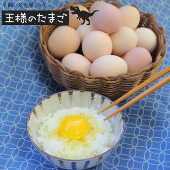 【食用卵】平飼い鶏　名古屋コーチン 平飼い名古屋コーチン【王様のたまご】12個（11個+破卵補償分1個含み
