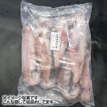 小さいサイズ白イカ（冷凍)たっぷり計２ｋｇ　約1ｋｇ（10-15杯前後入）×2パック　使う分だけ解凍できます！お刺身、炒め物などに。　（ケンサキ） 小さいサイズ白イカ（冷凍)計２ｋｇ　約1ｋｇ（10-15杯前後入）×2パック 魚介類/イカ通販