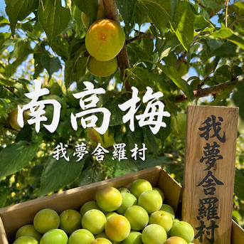 我夢舎羅村特産品】旬の香り 南高梅 5キロ ｜ 果物/青梅 産直アウル 