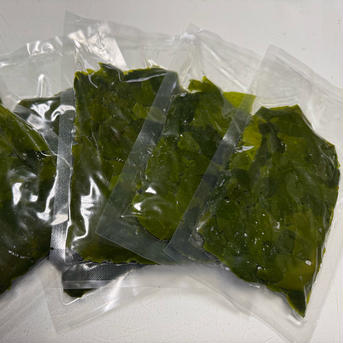 天然刺身ワカメ　茹で　100g入り真空パック　冷凍 500g 魚介類/海藻通販