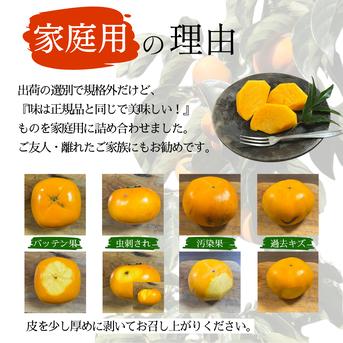 送料込み】和歌山のたねなし柿 がっつりSサイズ5kg（30-40個）ご家庭用