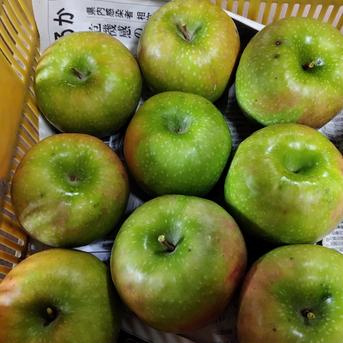 【訳あり】減農薬グラニースミス 5kgx1箱 果物/りんご通販