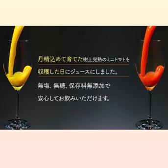 数量限定品】無塩、無糖、保存料無添加 北海道産ミニトマトジュース1L