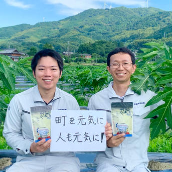 【1kg】青パパイヤ(1~2個目安) 1kg 野菜/その他野菜通販