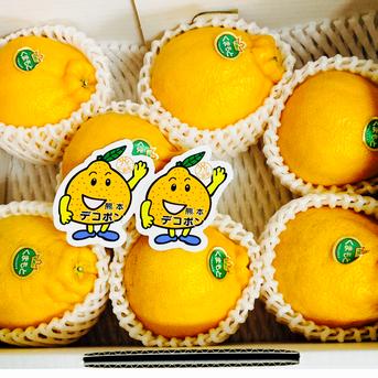 熊本県産 JAデコポン 約2㎏ 秀品 【002】ギフト 贈り物  フルーツ お取り寄せ みかん 蜜柑 ミカン 高級 熊本 柑橘類  JAデコポン 約2㎏ 　箱込み 果物/オレンジ・その他みかん通販