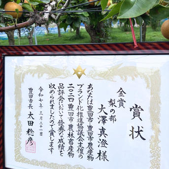 豊水梨 10個 大玉 秀品 5キロ箱 ｜ 果物/梨 産直アウル 農家・漁師など