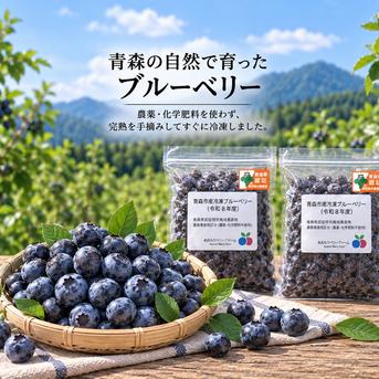 青森市産 冷凍ブルーベリー 1kg ｜ 果物/ベリー類 産直アウル 農家