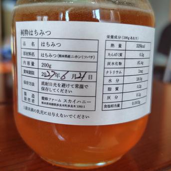 日本ミツバチ天然生はちみつ＆ブラックベリージャムセット ｜ はちみつ 