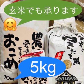 令和3年産ひとめぼれ精米5ｋｇ 5ｋｇ 米・穀物/米/精米通販