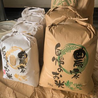 《新米》減農薬有機栽培コシヒカリ白米／10kg 10kg 米・穀物/米/精米通販