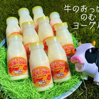 牛のおっぱいミルク10本&のむヨーグルト10本セット 牛のおっぱいミルク10本、飲むヨーグルト10本セット 乳製品/牛乳通販