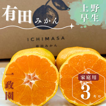 上野早生 箱込み3キロMサイズ 家庭用 有田みかん 低農薬 極早生 | 果物