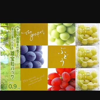 訳あり カナダ産チェリー 約10kg 家庭用 大粒 訳あり 梨 10kg」の人気