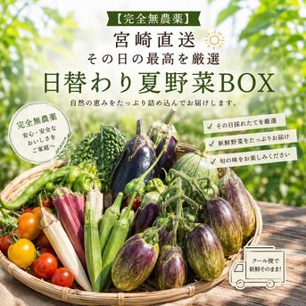 新鮮！　朝どれ無農薬空芯菜 5kg クール便 食品 新鮮！ 朝どれ無農薬空芯菜 5kg クール便