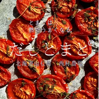 だしとまと お試し用1kg 1kg 野菜/トマト通販