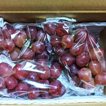 女王のルビーの輝き、甘く芳醇な香り！クイーンルージュ 約2kg（4～6房