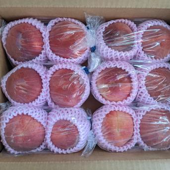 桃直売品約3kg 約3kg 果物/もも通販