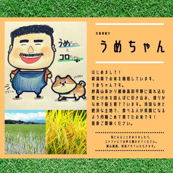 令和7年産 みずほの輝き ｜ 米・穀物/米/精米 産直アウル 農家・漁師