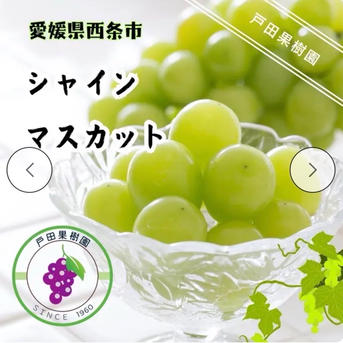 お試し価格 限定5箱シャインマスカット2kg3から5房 ｜ 果物/ぶどう