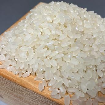 奇蹟の米「ゆうだい21」　精米10㎏　8000円　格安販売　(送料無料) 令和7年長野県産 奇跡のお米ゆうだい21 ミネラル仕上げ 炊飯食味値92