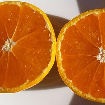 【濃厚味のゆらみかんの季節】ML混在サイズ4Kg(常温便)和歌山下津産「本州料金離島別途」 4K 果物/オレンジ・その他みかん通販