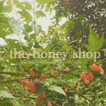 2018.vintage honey 日本蜜蜂　発酵完了熟成蜜 【天然品】 50g はちみつ/はちみつ通販