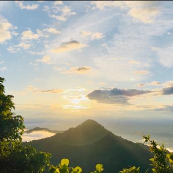 🆕!!新米🌾 7年産 魚沼産 コシヒカリ 20kg | 米・穀物/米/精米