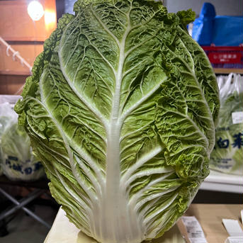 激ウマ 白菜キムチ‼️白菜キムチ1.5kg 白菜キムチ1.5kg 加工品/キムチ通販