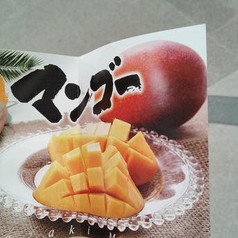 宮崎県産 完熟マンゴー 訳あり 5-6玉 2kg 宮崎完熟マンゴー約2kg