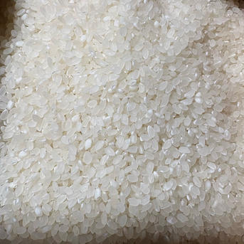 令和8年度産新米コシヒカリ玄米埼玉県産30キロ栽培期間中農薬等不使用