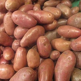 お試し！【じゃがいも】食べ比べセット (おまかせ4～5種) 計10kg 【じゃがいも】食べ比べセット (おまかせ4～5種) 計10kg 野菜/じゃがいも通販