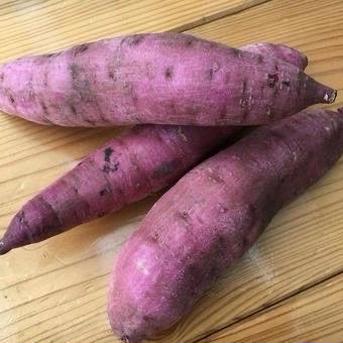予約販売限定価格 ねっとり甘い【新芋】横浜産自然栽培 紅はるか 20kg
