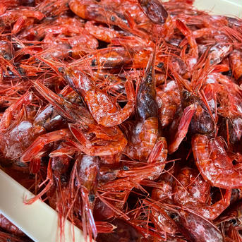 福井県産無添加  干し甘えび 30g  5パック 30g 5パック 魚介類/魚介の加工品通販