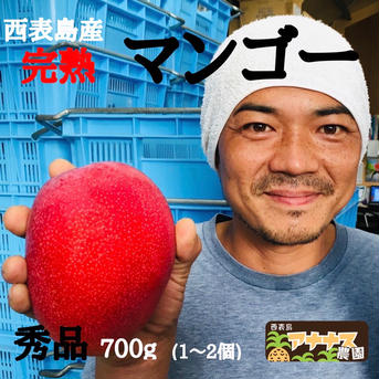 完熟マンゴー　秀品700g(1〜2個) 700g(1〜2個) 果物/マンゴー通販