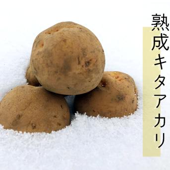 【期間限定】訳アリ氷温熟成じゃがいも キタアカリ 10㎏ 10kg 野菜/じゃがいも通販