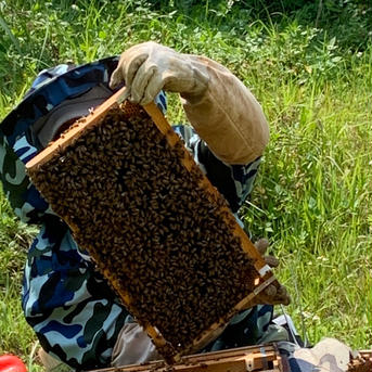 Bitter Honey 非加熱蜂蜜 五個セット　1キロ はちみつ/はちみつ通販