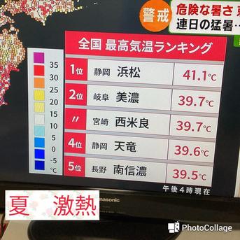 農家直送　宮崎県　西米良の青ゆず　キズそこそこ以下 2.0kg 果物/香酸柑橘(ライム・レモン等)通販